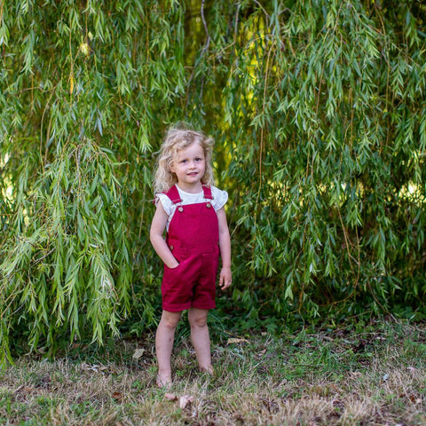 Crimson Cotton Shorts