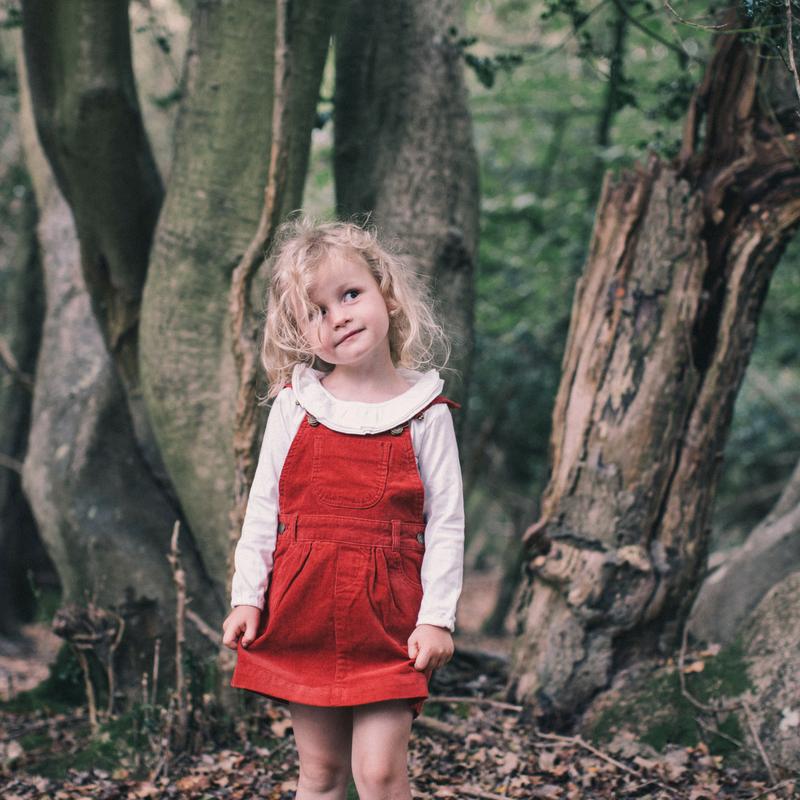 Brick Red Corduroy Dress