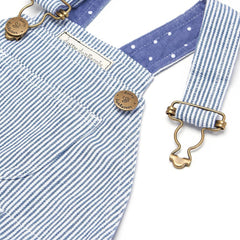 Otto Stripe Dress