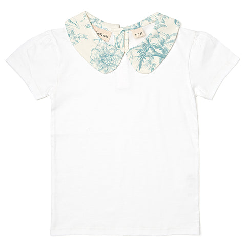 DDxAO Peter Pan Collar - Antique Butterfly