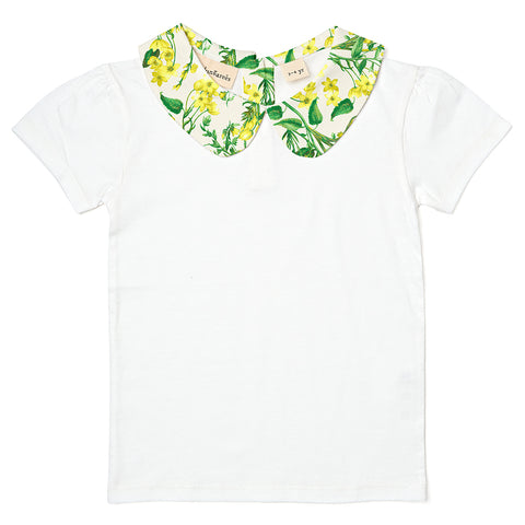 DDxAO Peter Pan Collar - Ditsy