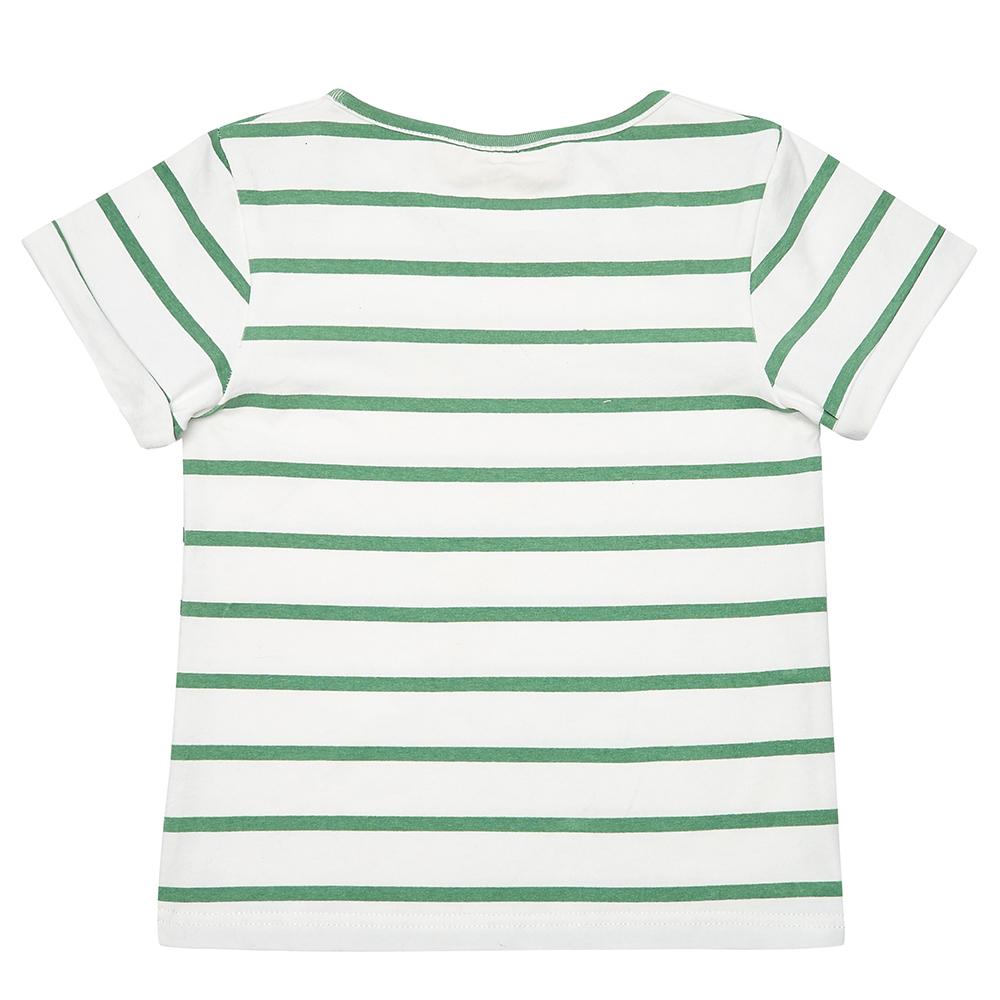 Green Stripe Summer T-Shirt