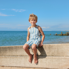 Classic Wide Stripe Shorts - Blue