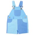 Tonal Colourblock Shorts - Blue